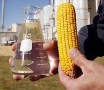 Food Cost Increases Tied To Ethanol Use in Gasoline