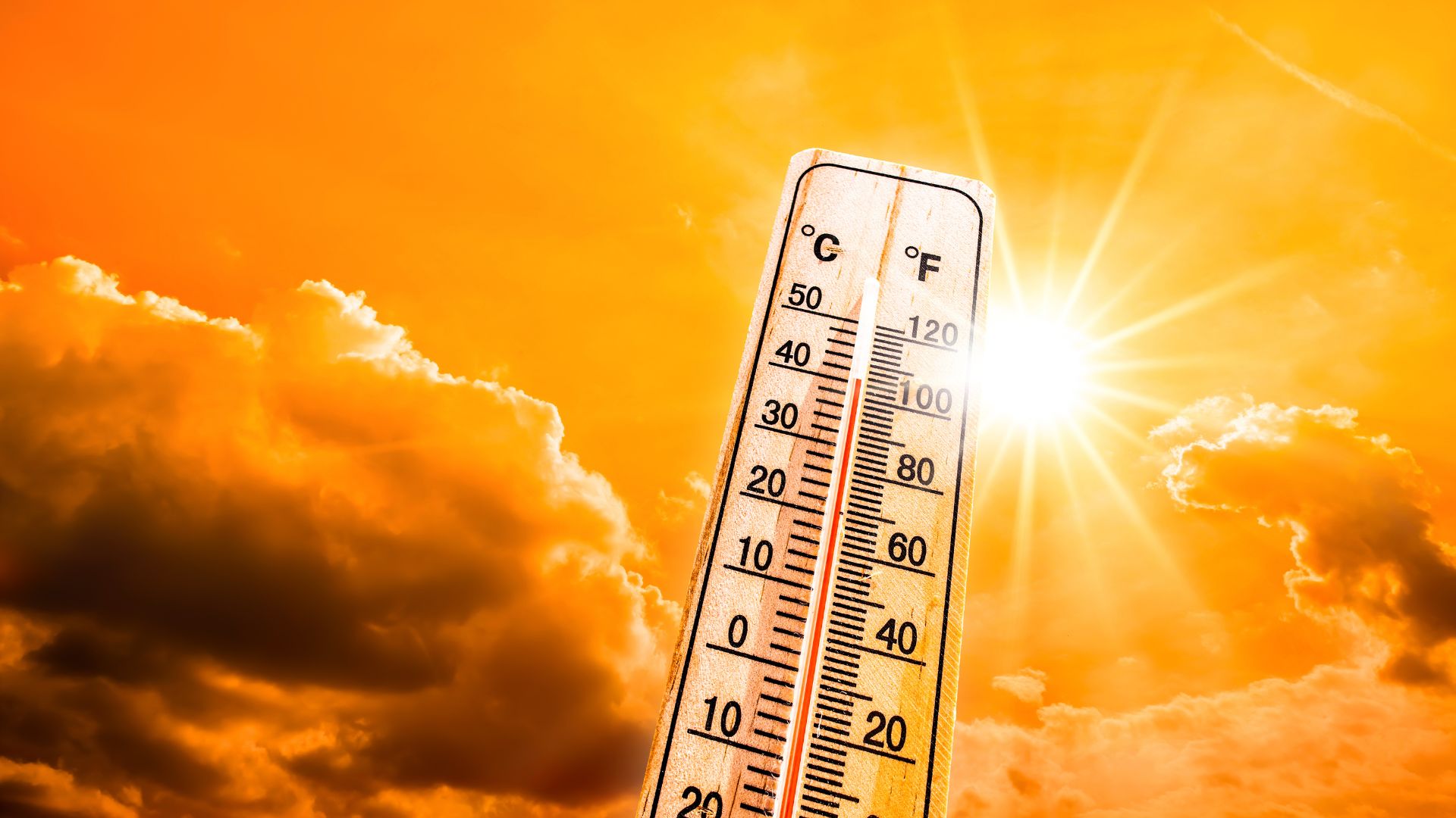 Beat The Summer Driving Heat - Should you let your car idle and more.