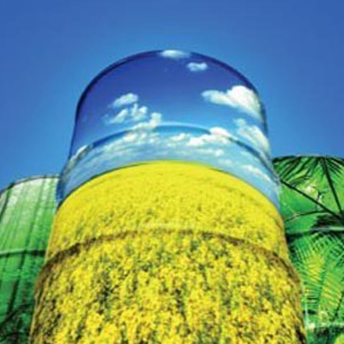 Biodiesel Problems - What You May Not Know