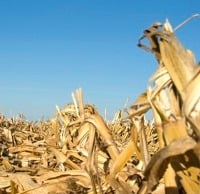 Congress Considers Law to Protect Producers of Ethanol in Gas