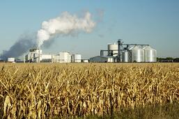 ethanol mandate