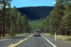 Ready, Set, Save: 3 Tips for Summer Road Trip Savings