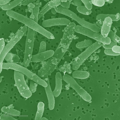 The fuel contaminants you need to watch out for