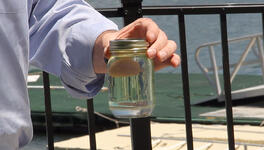 Water in Gas Tank? Symptoms Explained