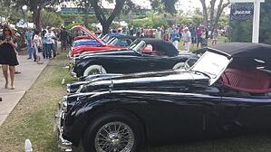 Concours D’Elegance car shows in Winter Park