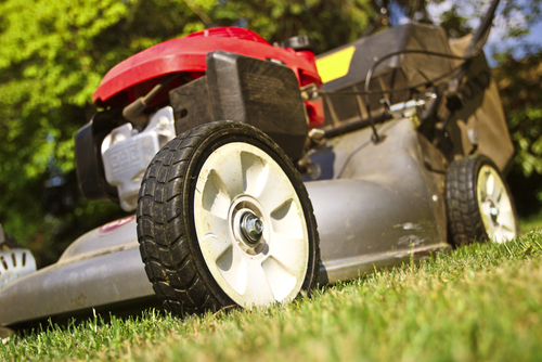 To Use A Fuel Additive In Ethanol-Free Gas In Your Lawn Mower or Not? That Is The Question.