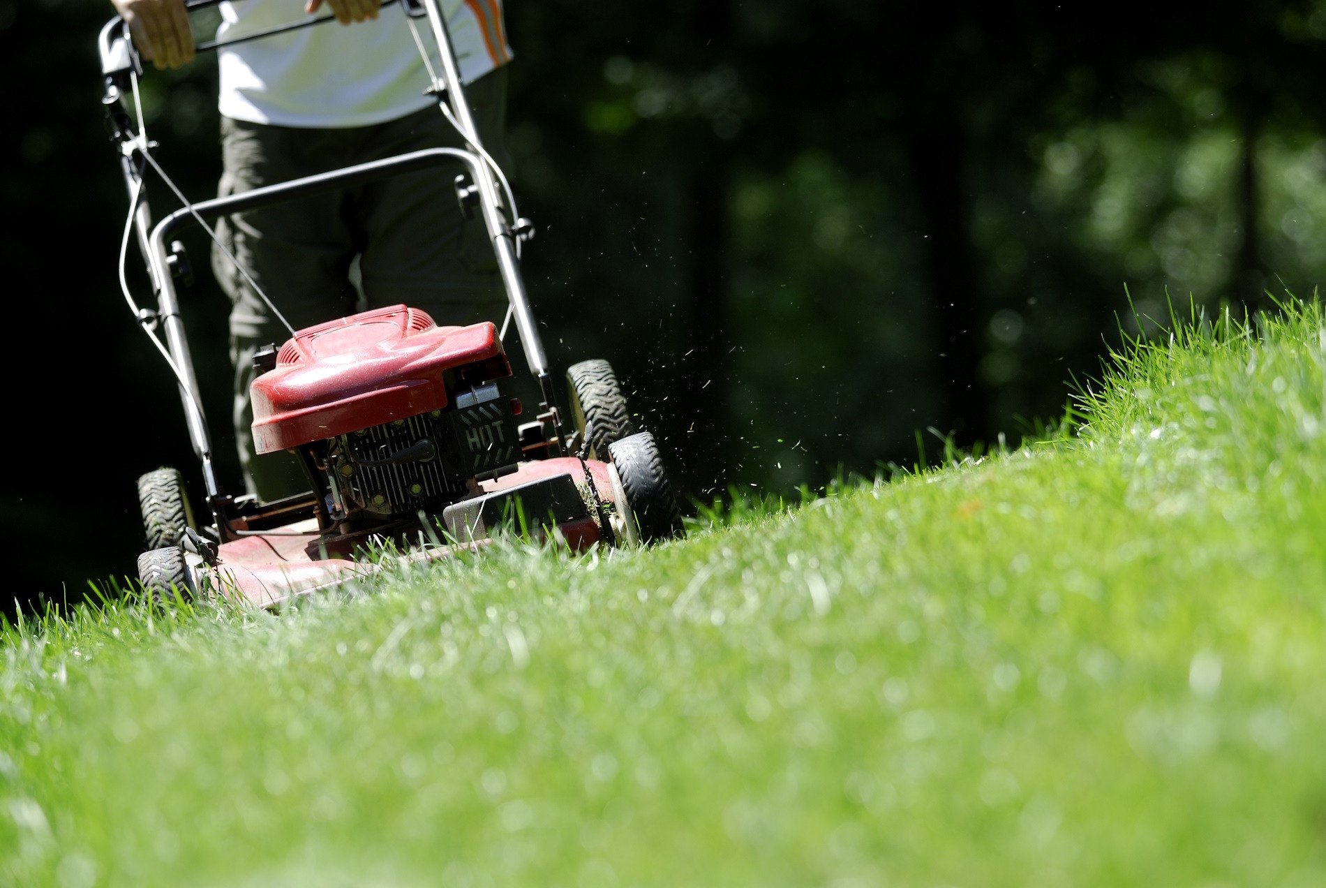 To Use A Fuel Additive In Ethanol-Free Gas In Your Lawn Mower or Not? That Is The Question.