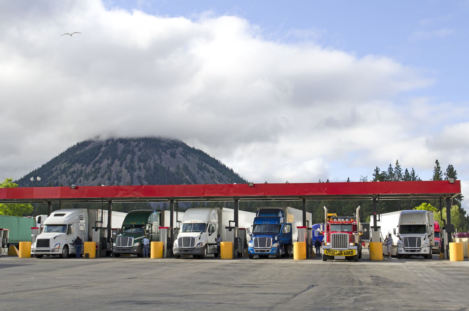 What Cetane Value Does in Diesel Engines