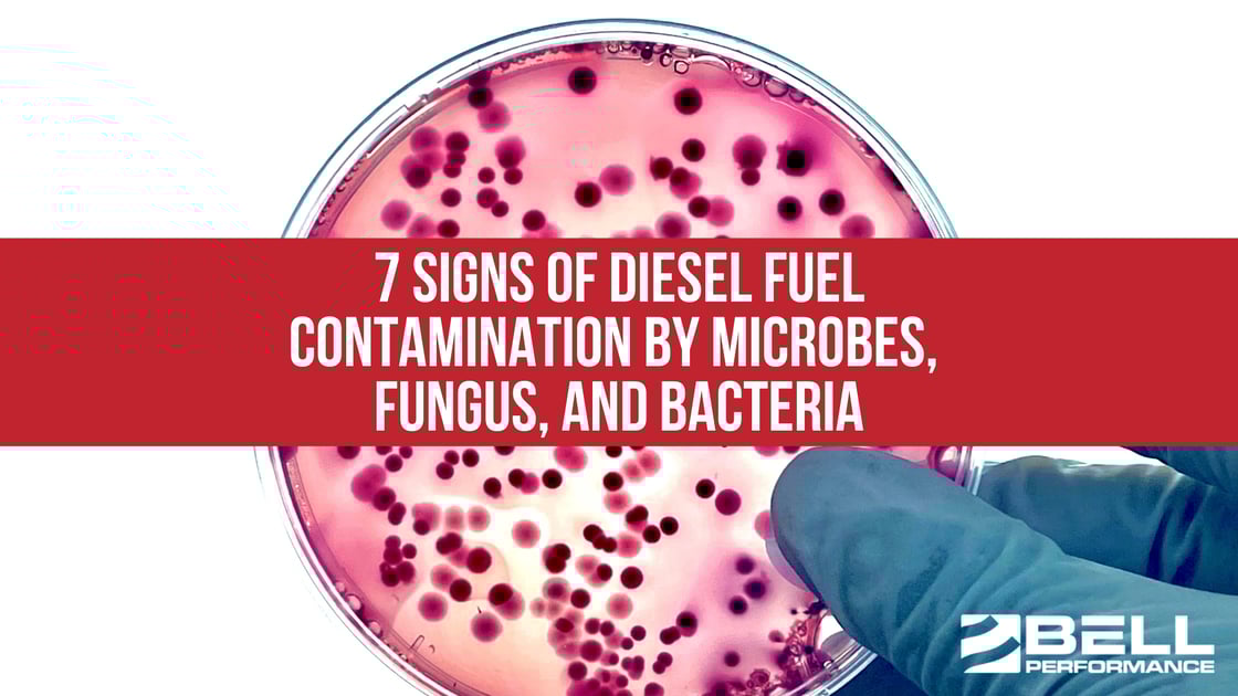 7 Signs of Diesel Fuel Contamination by Microbes, Fungus, and Bacteria