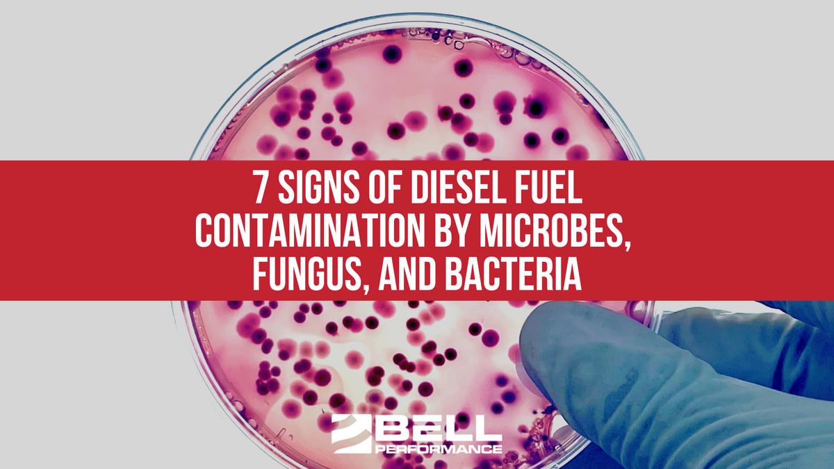 7 Signs of Diesel Fuel Contamination by Microbes, Fungus, and Bacteria