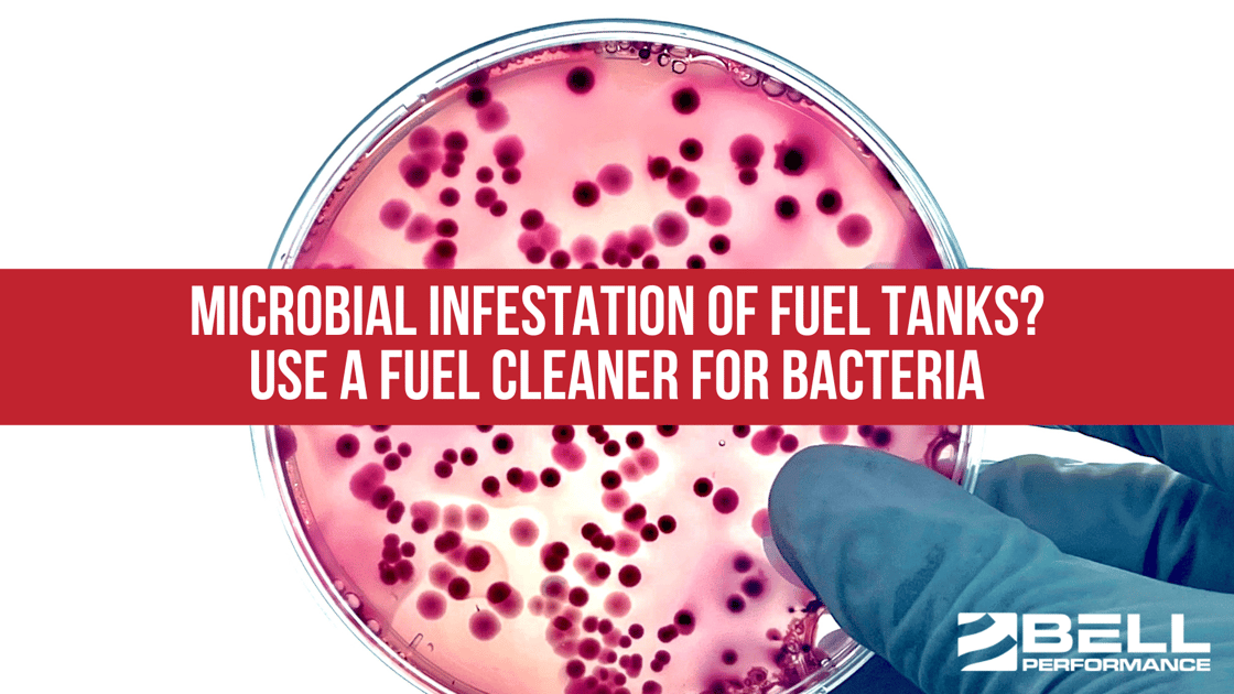 Microbial Infestation of Fuel Tanks? Use a Fuel Cleaner for Bacteria