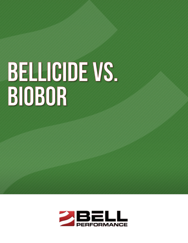 bellicide-vs-biobor-cover