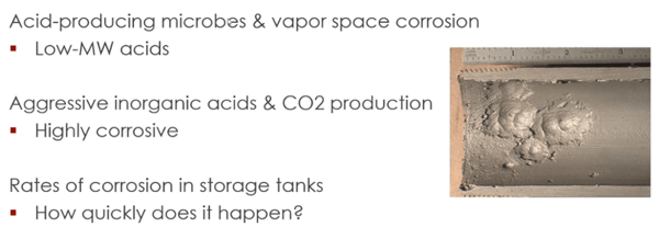 Acid producing microbes