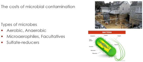 the costs of microbial contamination of fuel