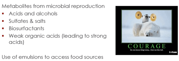 microbial byproducts