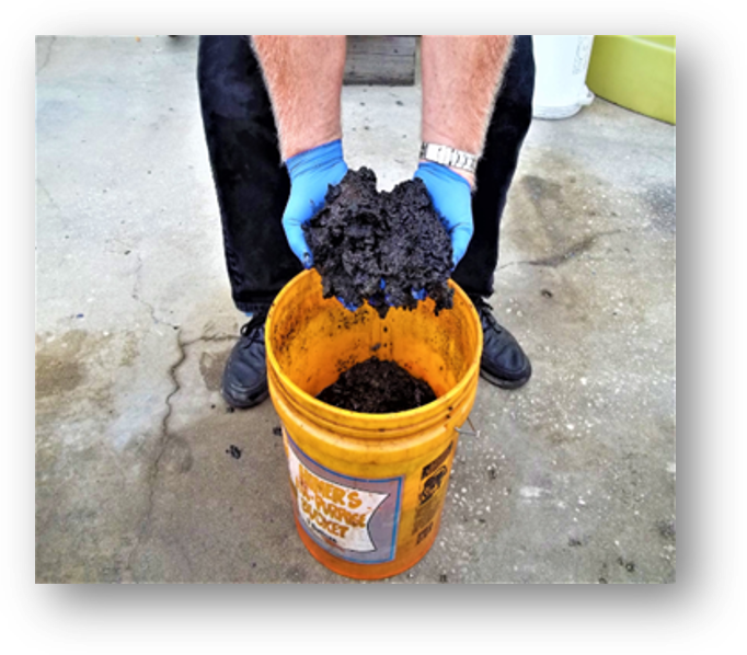sludge