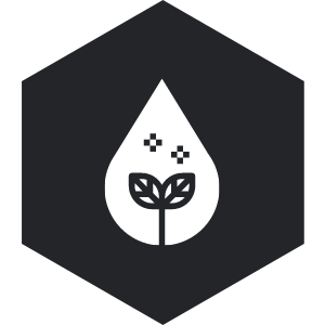 Biodiesel