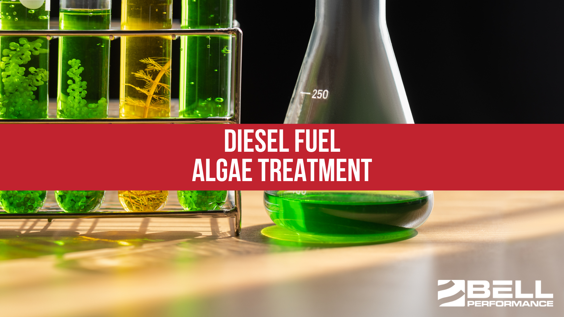 Diesel Fuel Algae Treatment